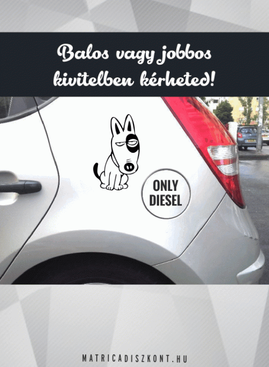 Kutyás vicces autómatrica